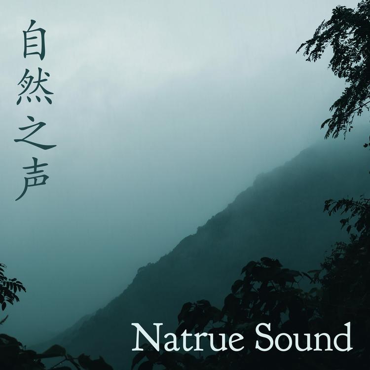 Nature Record's avatar image