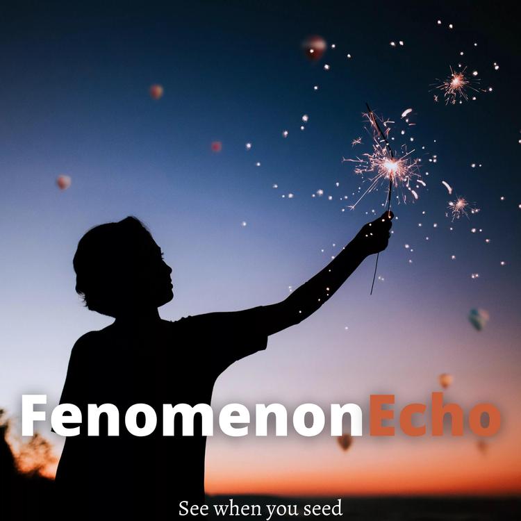 Fenomenon Echo's avatar image
