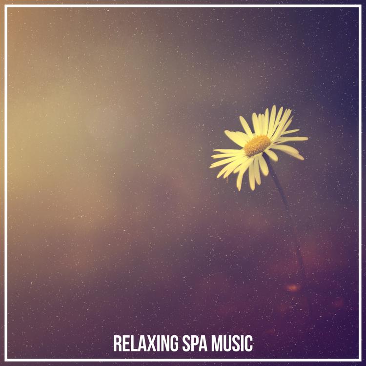 Spa Relaxation's avatar image