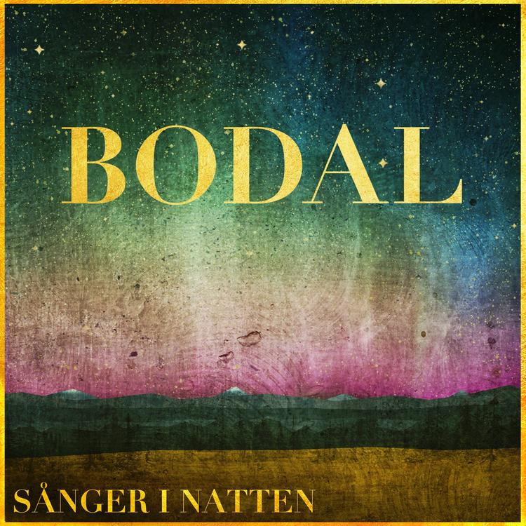 Bodal's avatar image