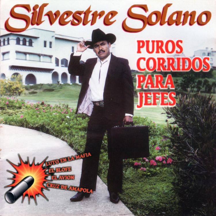 Silvestre Solano's avatar image