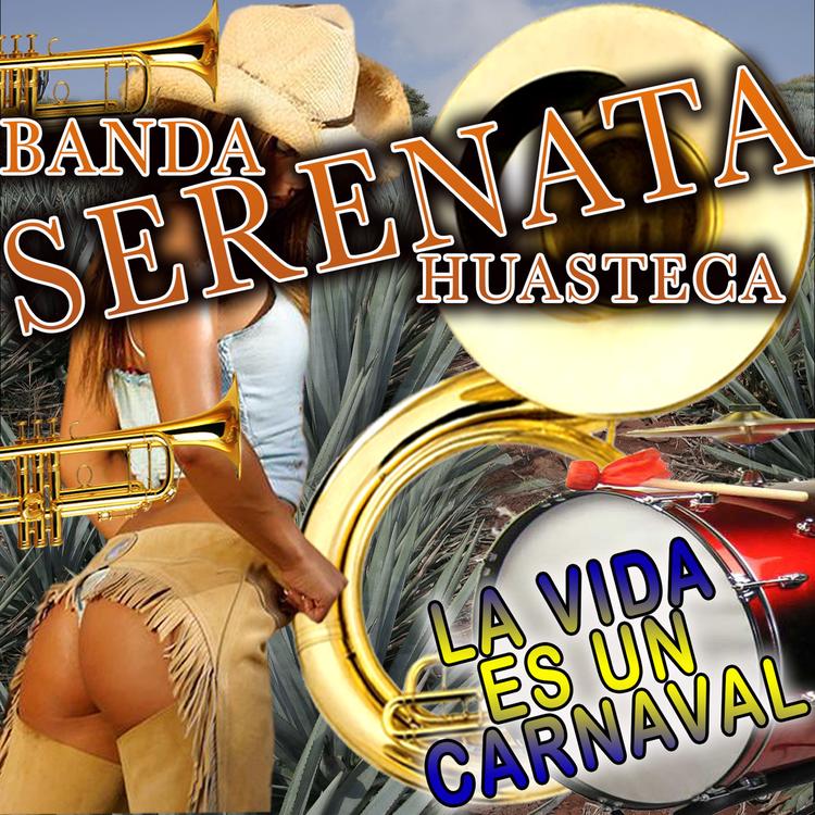 Banda Serenata Huasteca's avatar image