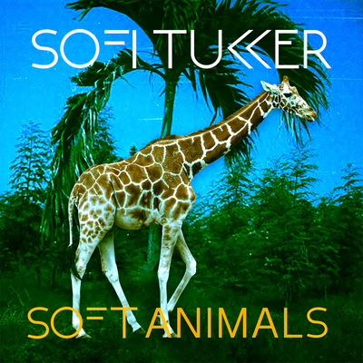Soft Animals EP's cover