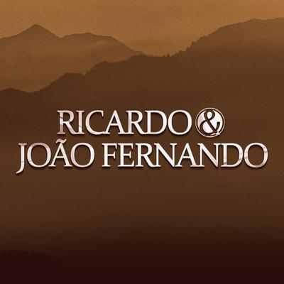 Ricardo e João fernando's cover