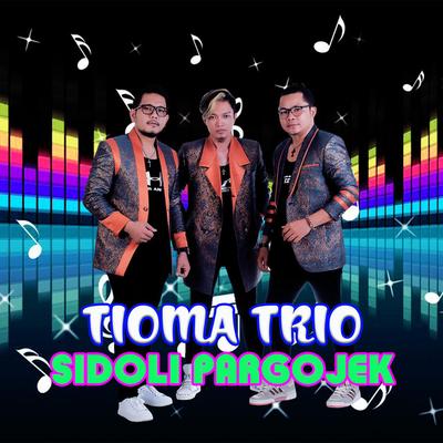 Tioma Trio's cover