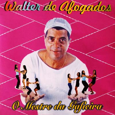 O Raparigueiro By Walter De Afogados's cover