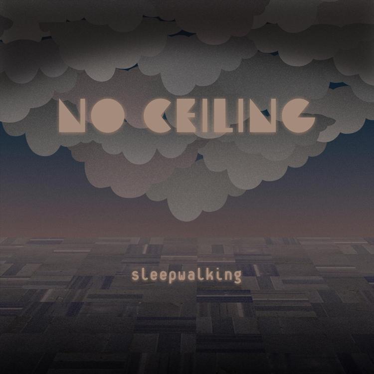 No Ceiling's avatar image