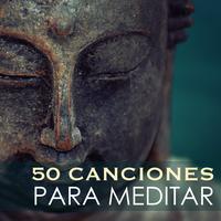 Meditar Profundamente's avatar cover