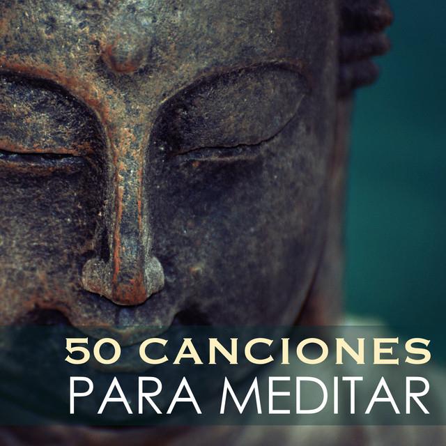 Meditar Profundamente's avatar image