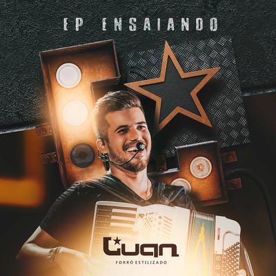 Afogado No Álcool By Luan Estilizado's cover