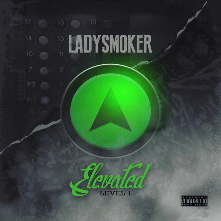 Lady Smoker's avatar image