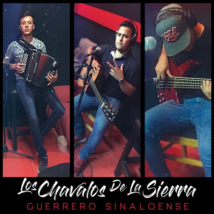 Los Chavalos De La Sierra's avatar image