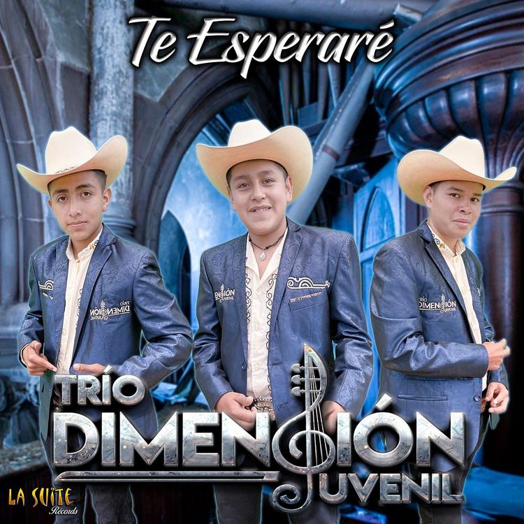 Trio Dimencion Juvenil's avatar image