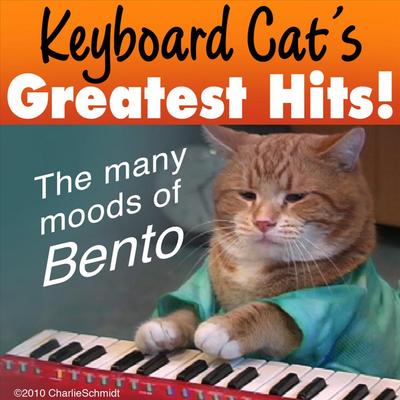 Reincarnated! By Keyboard Cat's cover
