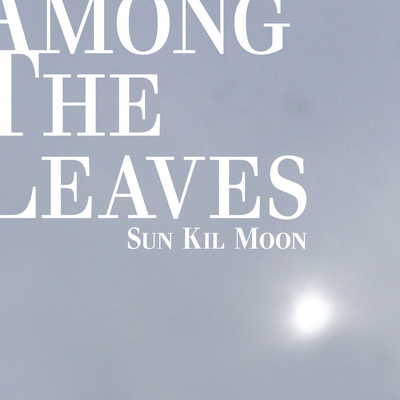 Sunshine In Chicago By Sun Kil Moon's cover