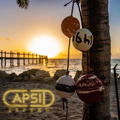 Capsid's cover