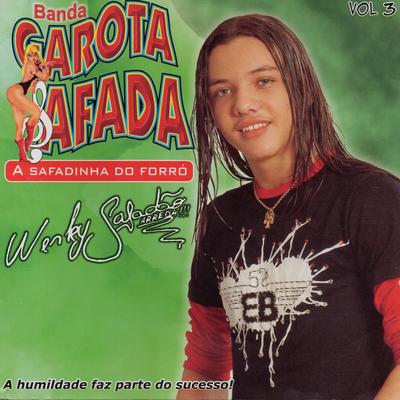 A Safadinha do Forró, Vol. 3's cover