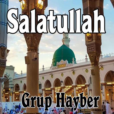 Grup Hayber's cover