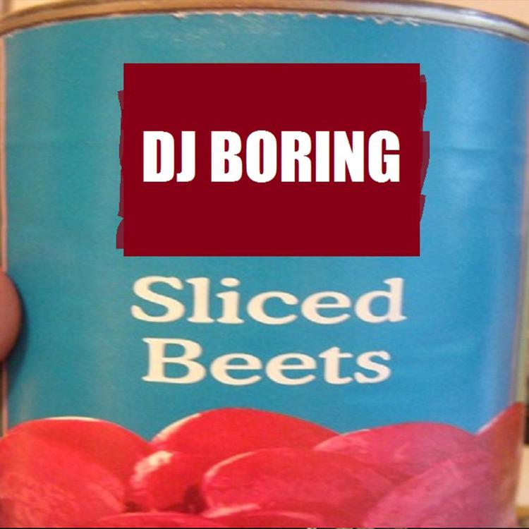 DJ Boring's avatar image