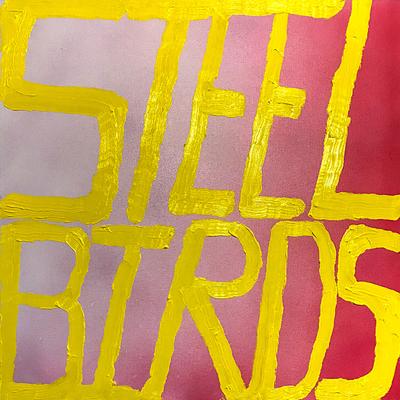 Steel Birds By Slow Pulp's cover