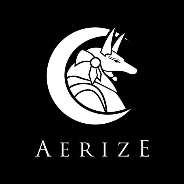 Aerize's avatar image