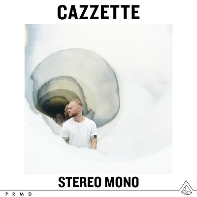 Stereo Mono's cover