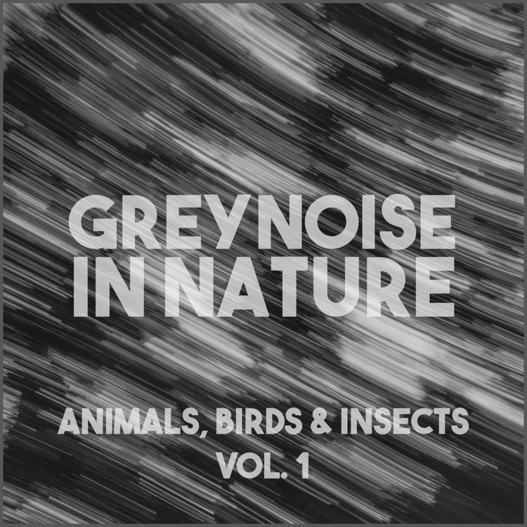 The Sound Of Grey Noise And Animals's avatar image