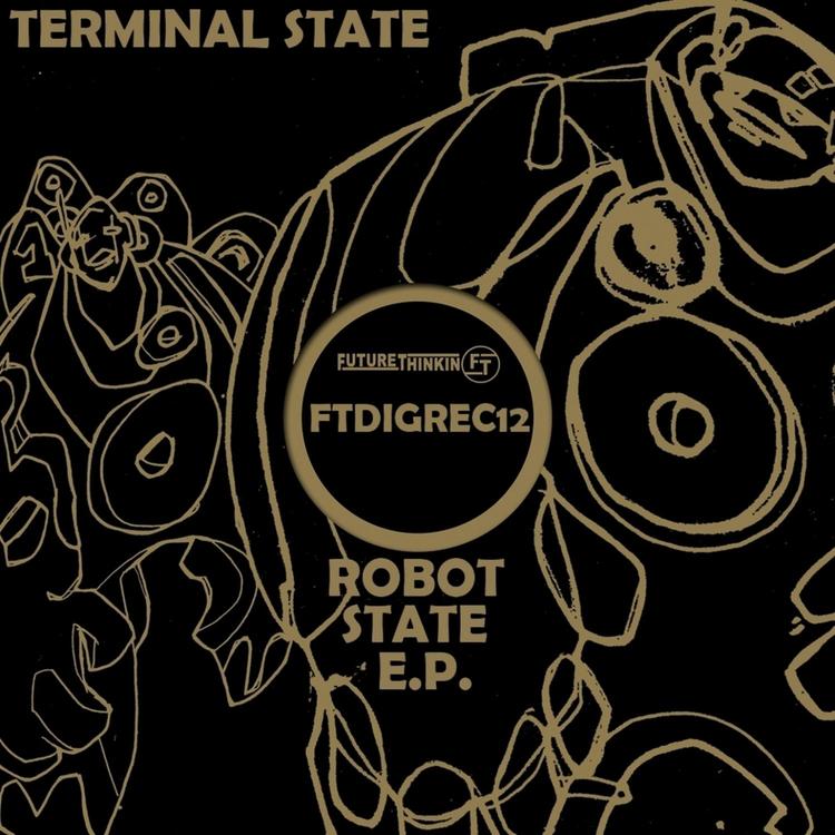 Terminal State's avatar image