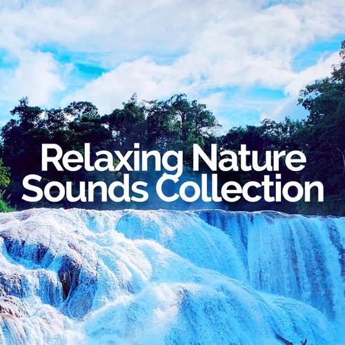 Relaxing Nature Sounds Collection Official TikTok Music - List of songs ...