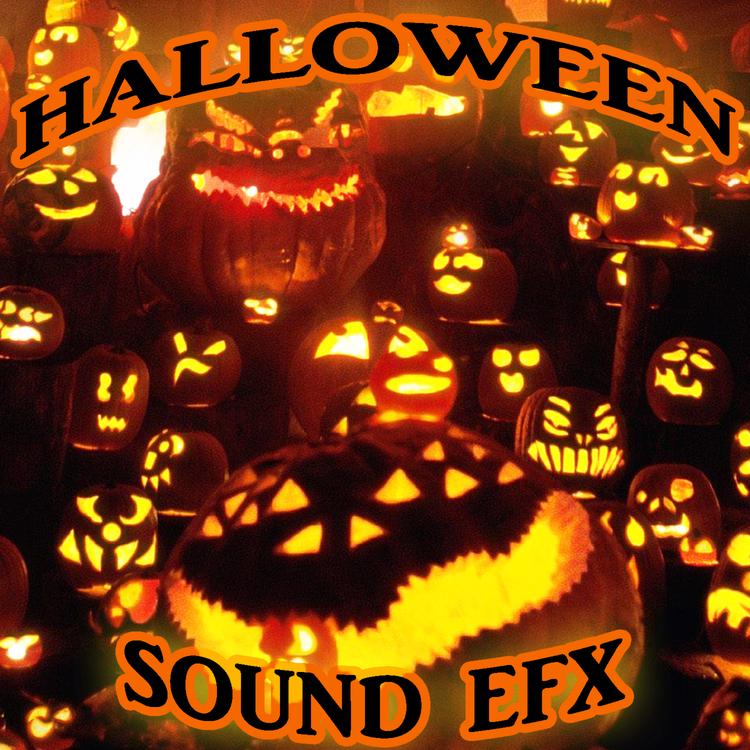 Scary Sounds DJ's's avatar image