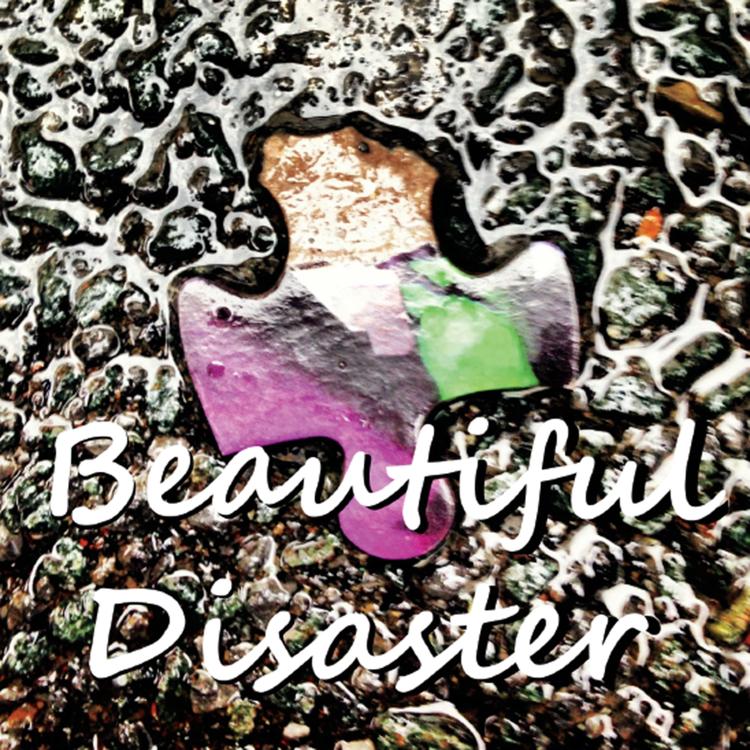 Beautiful Disaster's avatar image