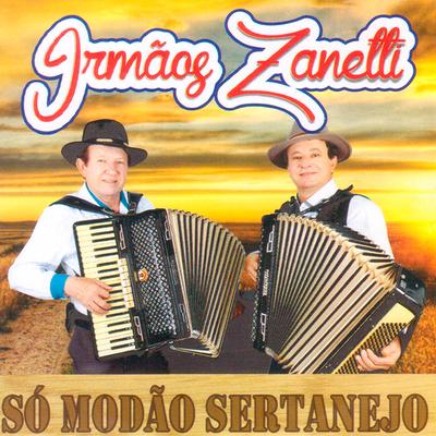 Ainda Ontem Chorei de Saudade By Irmão Zanetti's cover