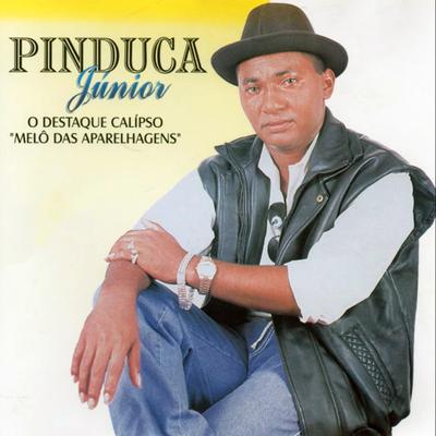 Pinduca Júnior's cover