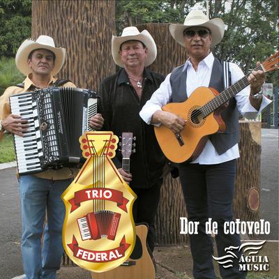 Dei um Cheiro na Vizinha By Trio Federal's cover