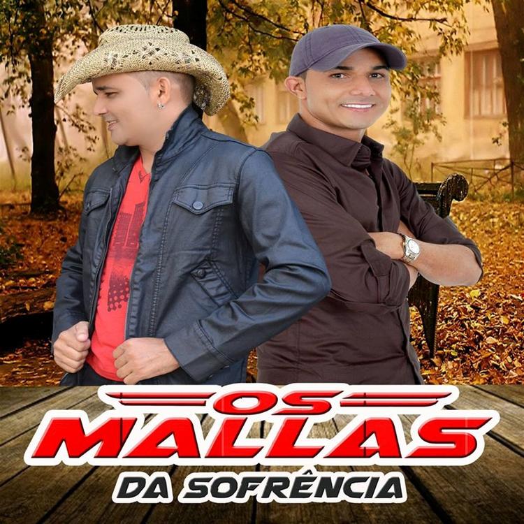 Os Mallas da Sofrência's avatar image