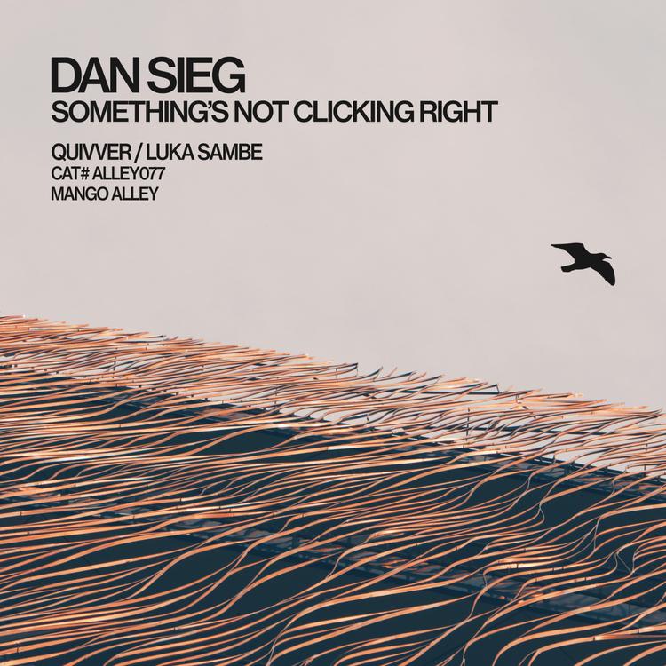 Dan Sieg's avatar image
