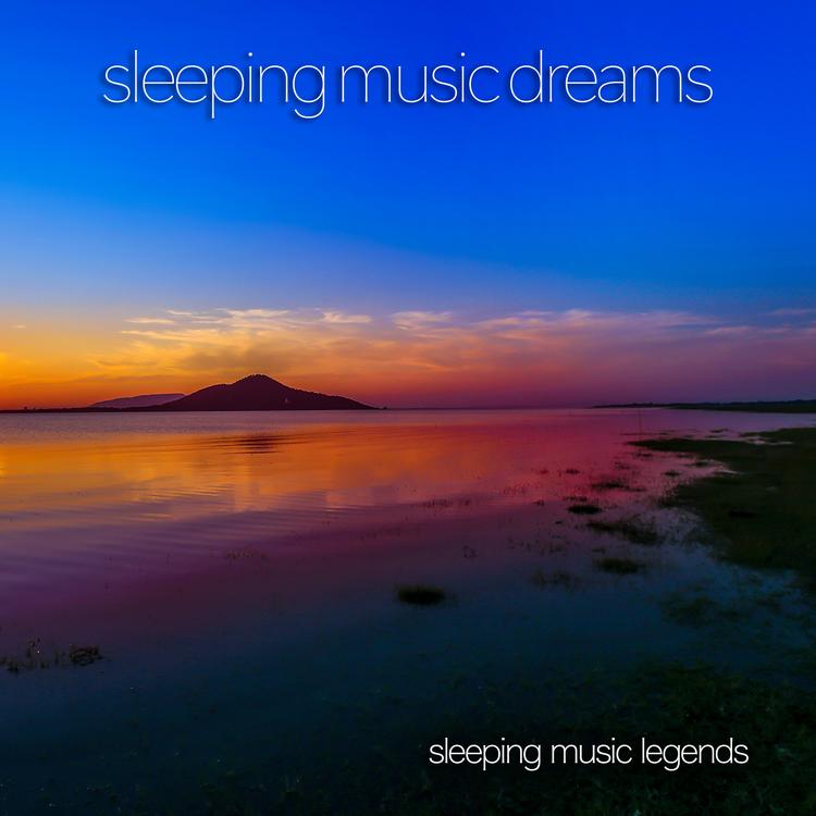 Sleeping Music Legends's avatar image