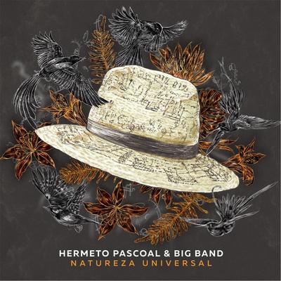 O Som do Sol By Hermeto Pascoal & Big Band's cover