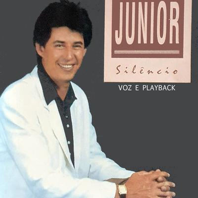 Viajante By Junior's cover