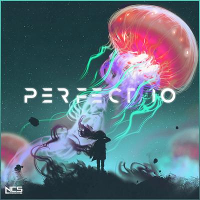 Perfect 10 (Unknown Brain & RudeLies VIP)'s cover