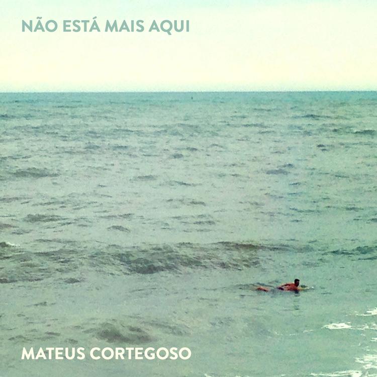 Mateus Cortegoso's avatar image