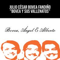 Julio César Bovea Fandiño's avatar cover