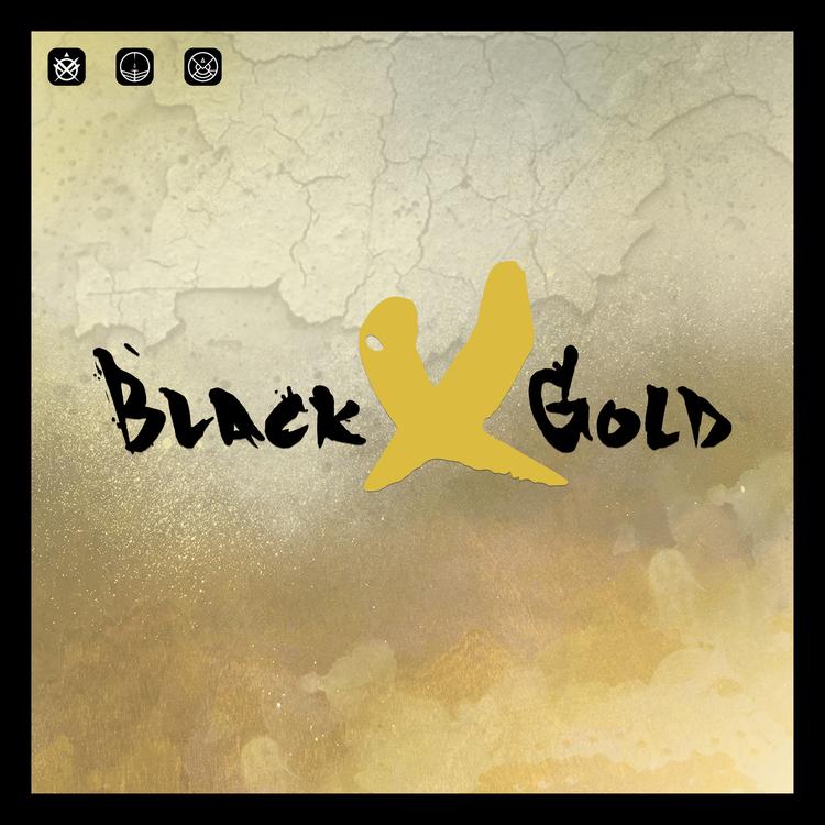 BlackxGold's avatar image