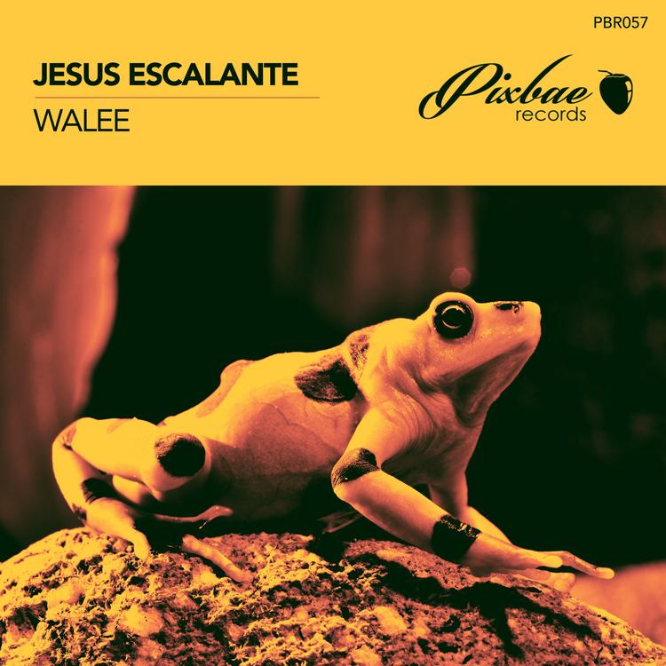 Jesus Escalante's avatar image