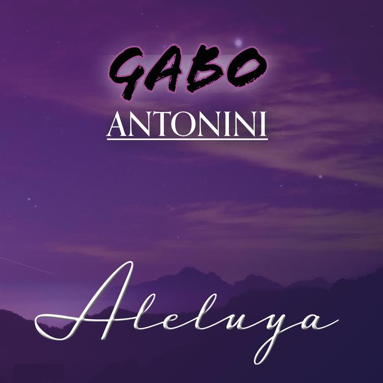 Gabo Antonini's avatar image