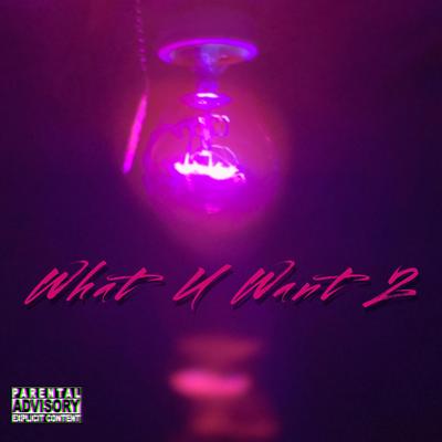 What U Want 2's cover