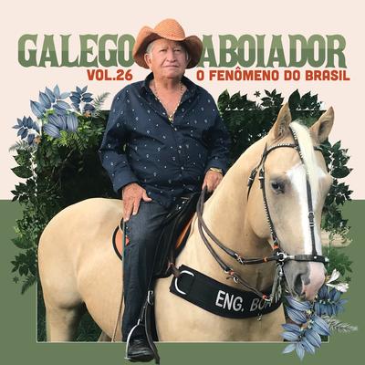 Saudade de Vaquejada By Galego Aboiador's cover