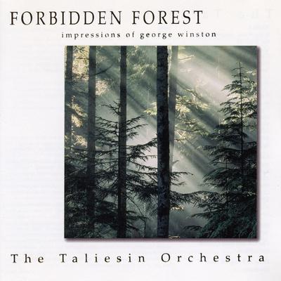 Forbidden Forest - The Music of George Winston's cover