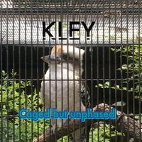 KLEY's avatar cover