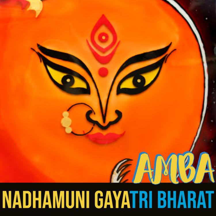 Nadhamuni Gayatri Bharat's avatar image